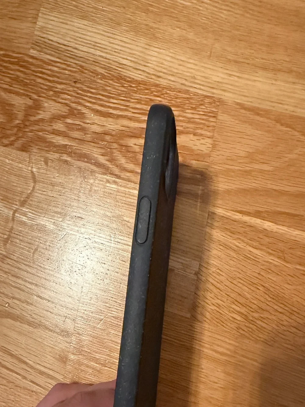 Pela iPhone 11 case